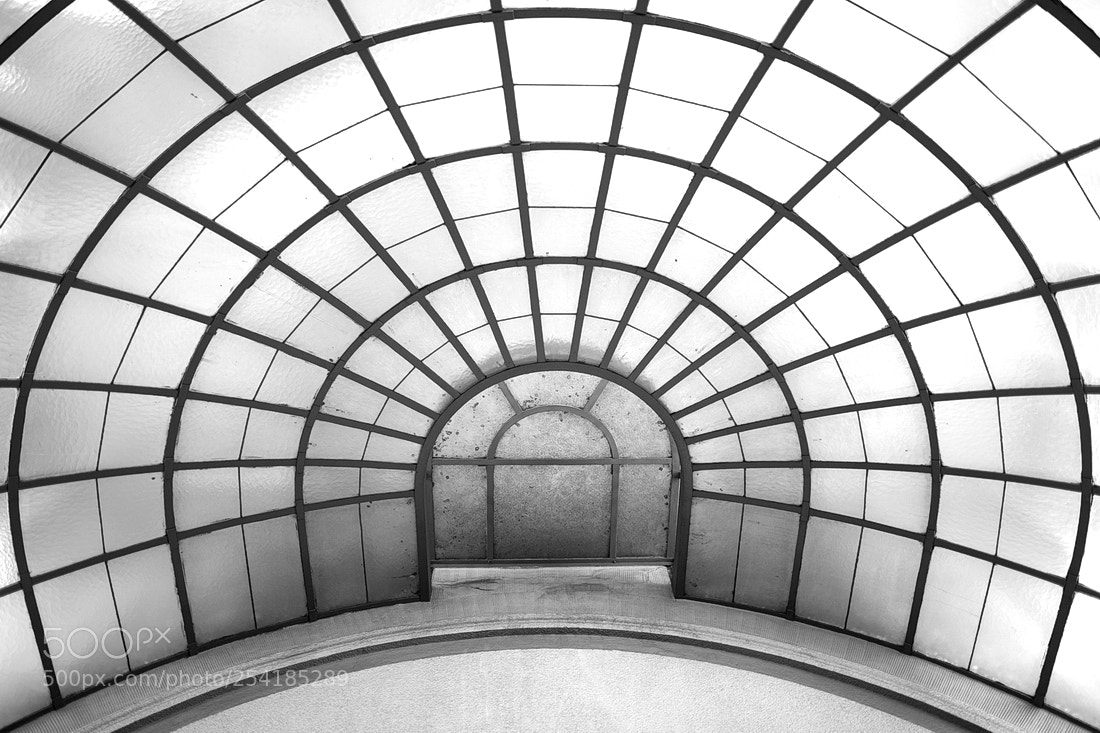 Canon EOS 5D Mark IV sample photo. Skylight photography