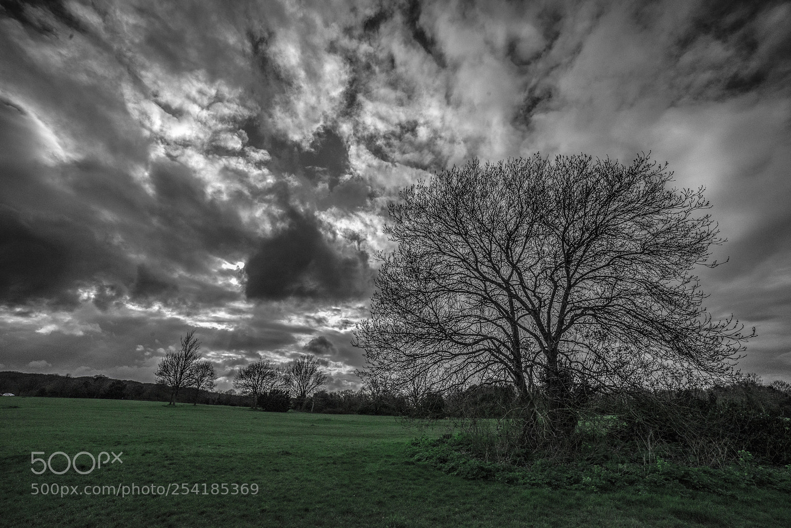 Nikon D610 sample photo. Dramatic landscape photography