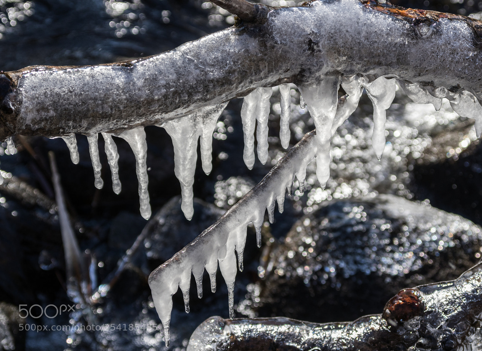 Canon EOS 80D sample photo. Icicle project photography