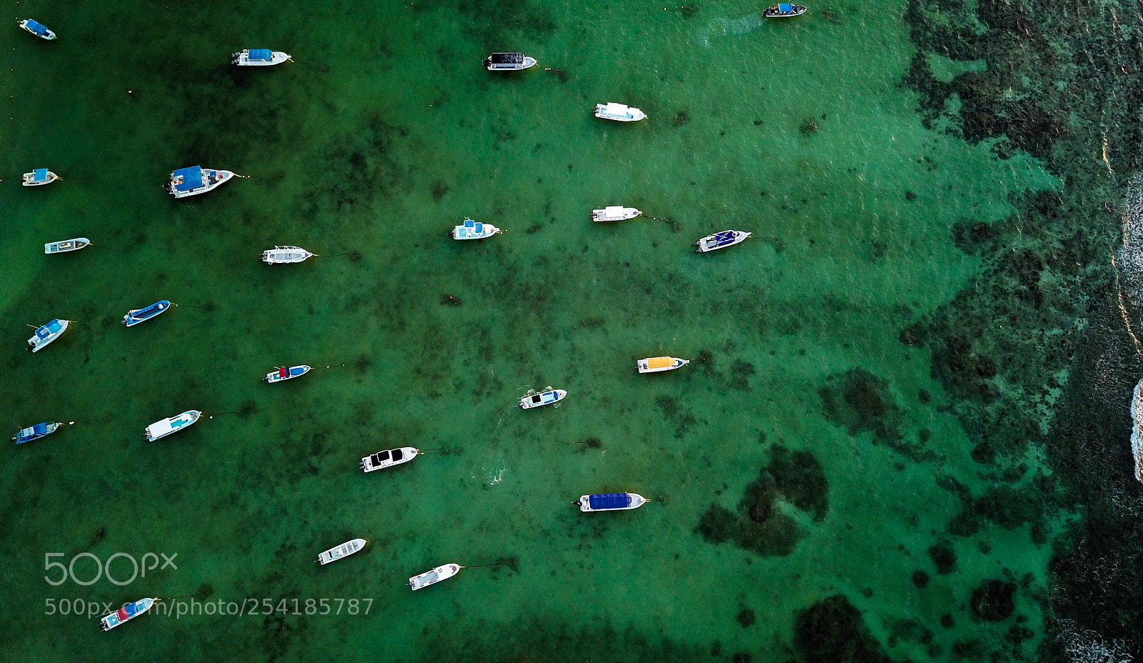 DJI FC220 sample photo. Boats photography