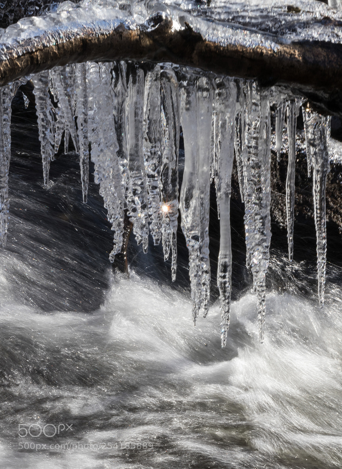 Canon EOS 80D sample photo. Icicle project 2 photography