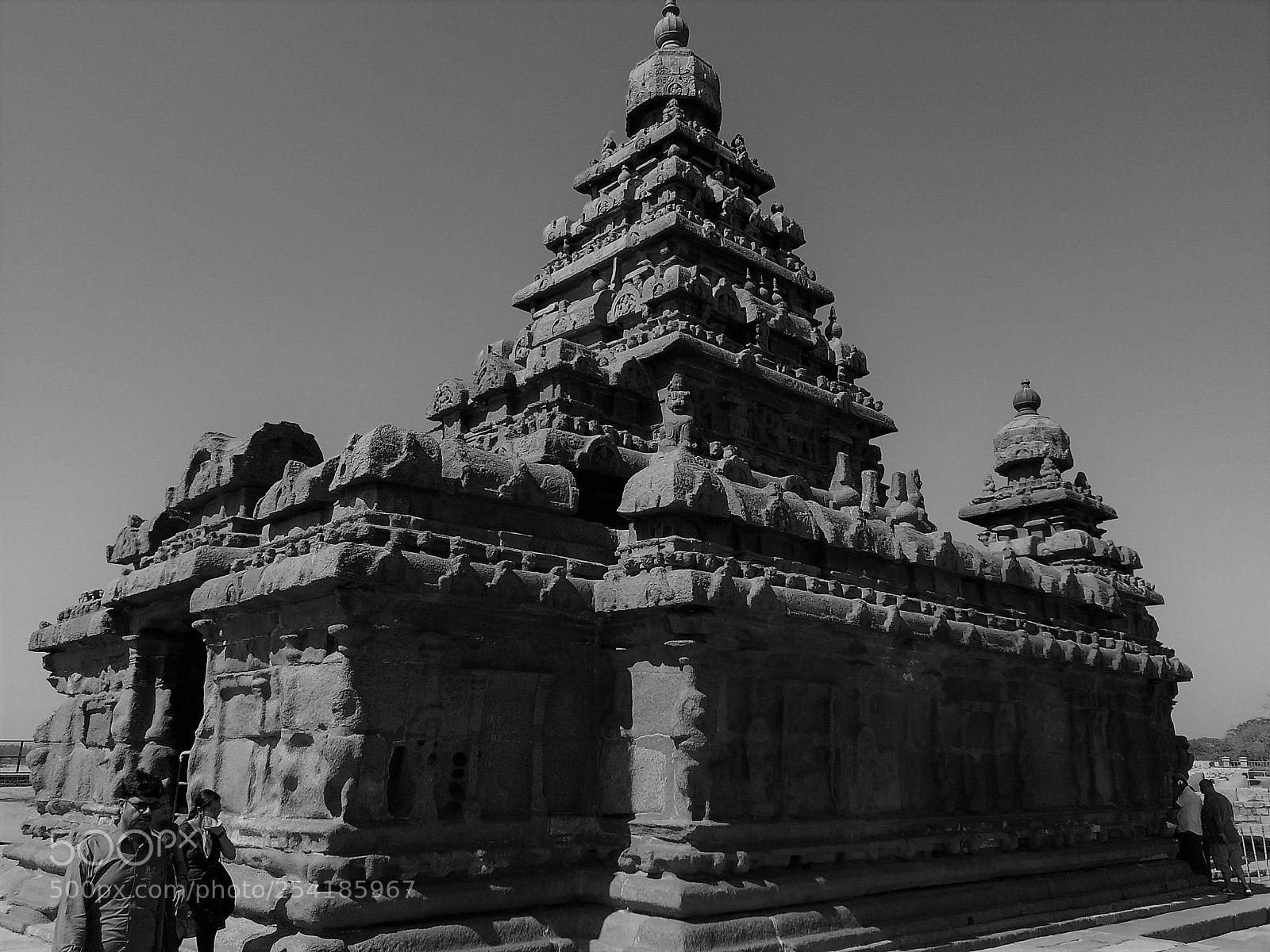 Samsung Galaxy S3 sample photo. Untitled photography