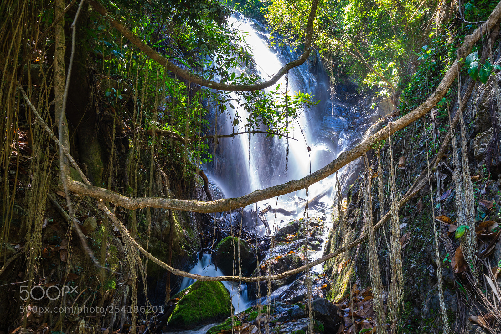 Sony a7 II sample photo. Dsc photography