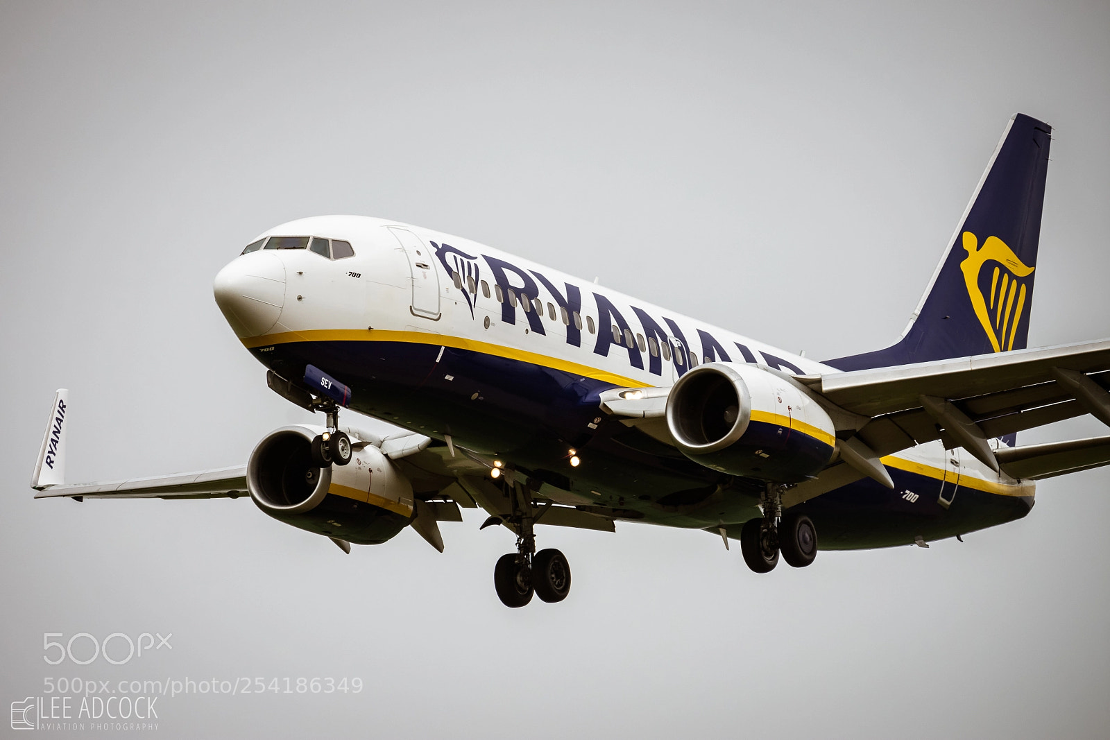 Nikon D7200 sample photo. Ryanair99 photography