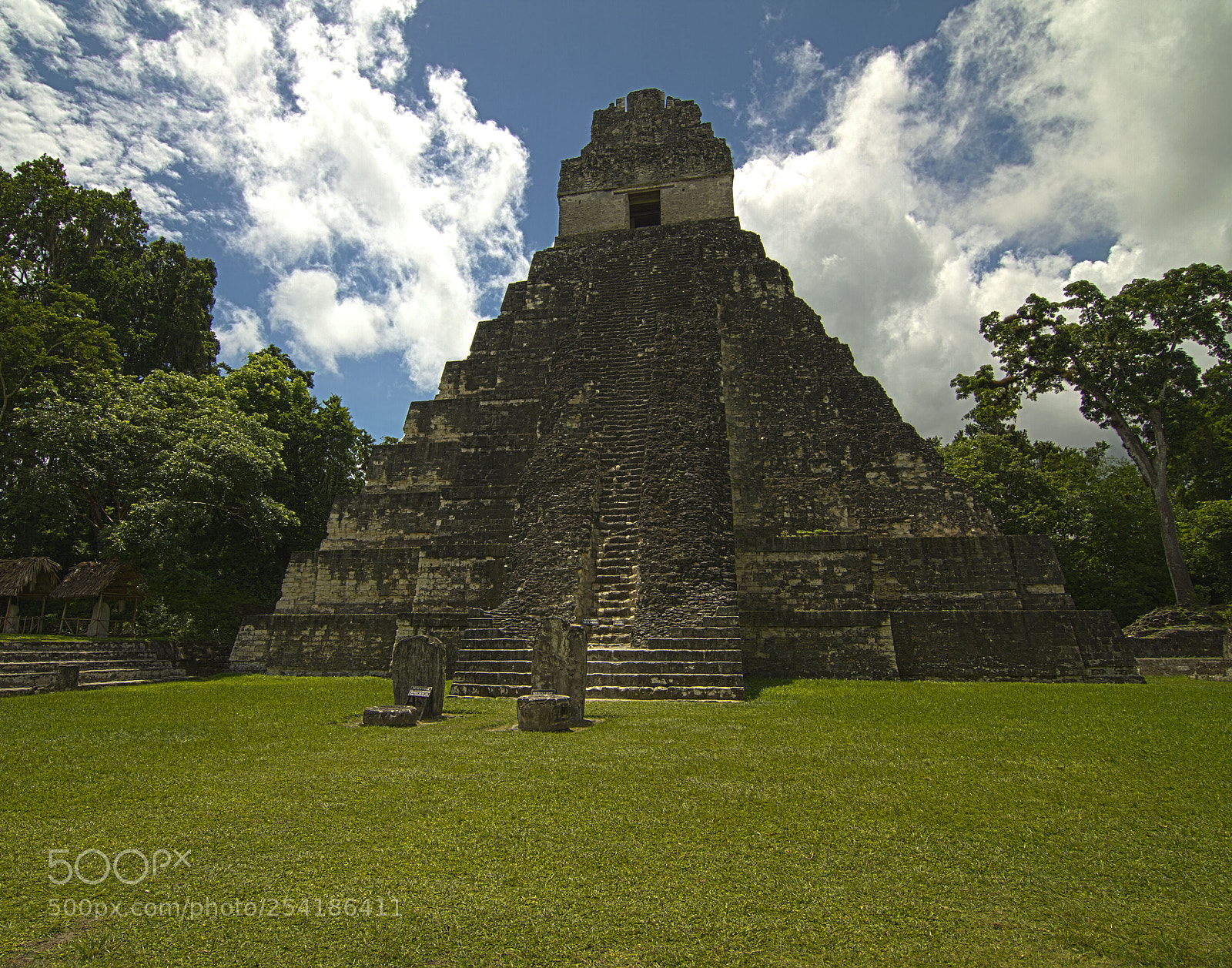 Canon EOS 7D sample photo. El gran jaguar photography