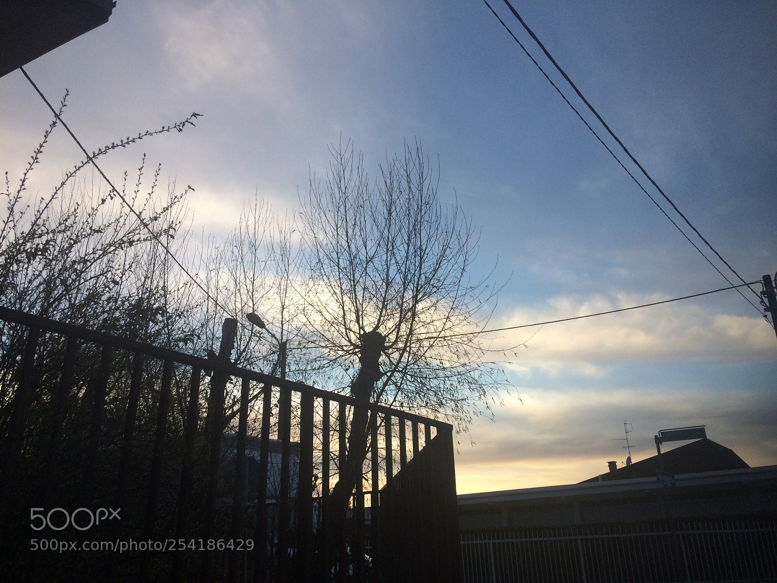 Apple iPhone 5s sample photo. Skyline photography
