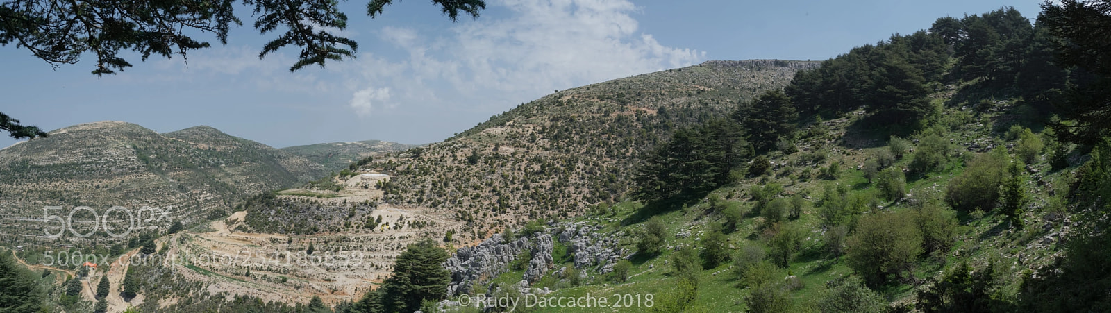 Nikon D5300 sample photo. Karm el mohr cedar photography