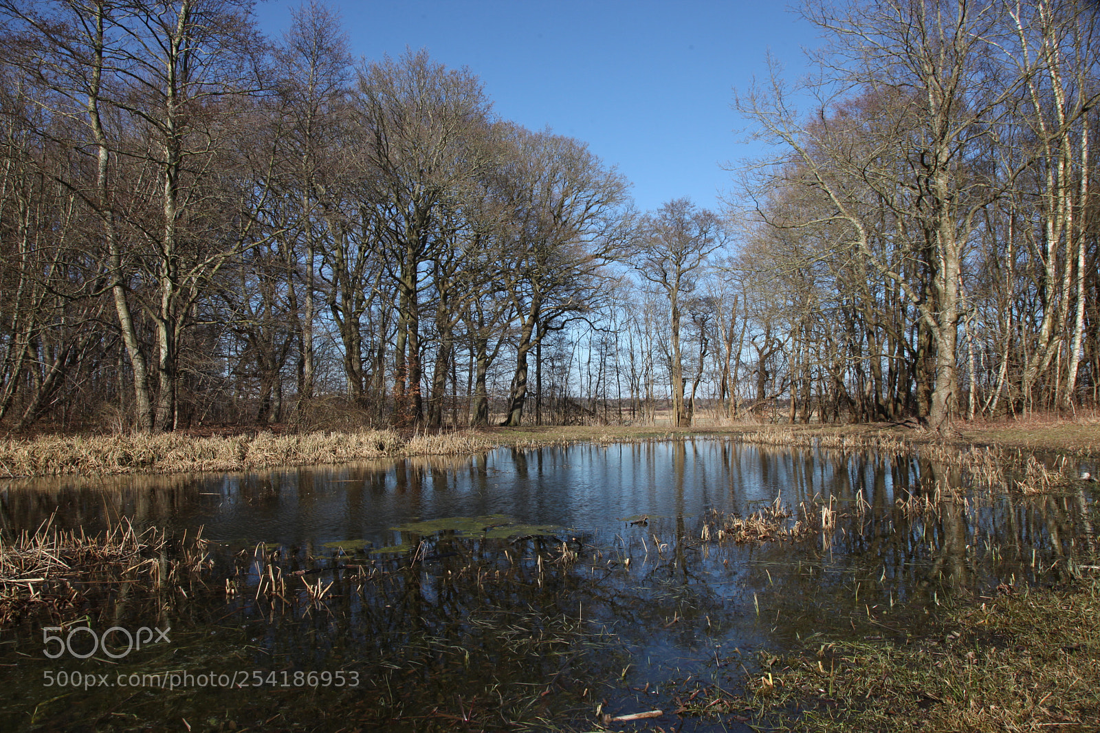 Canon EF 24-105mm F4L IS USM sample photo. Img photography