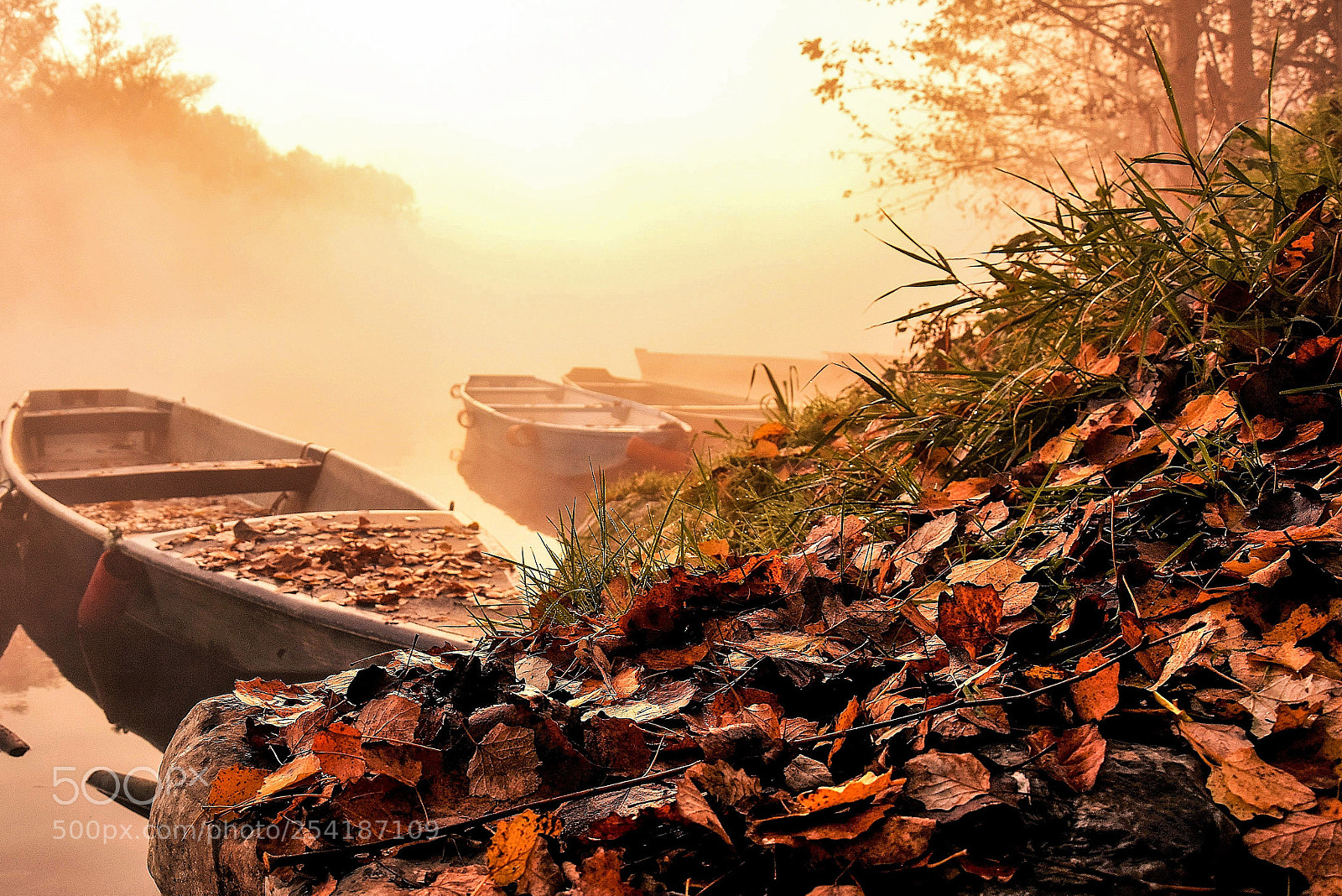 Nikon D5500 sample photo. Autumn atmosphere photography