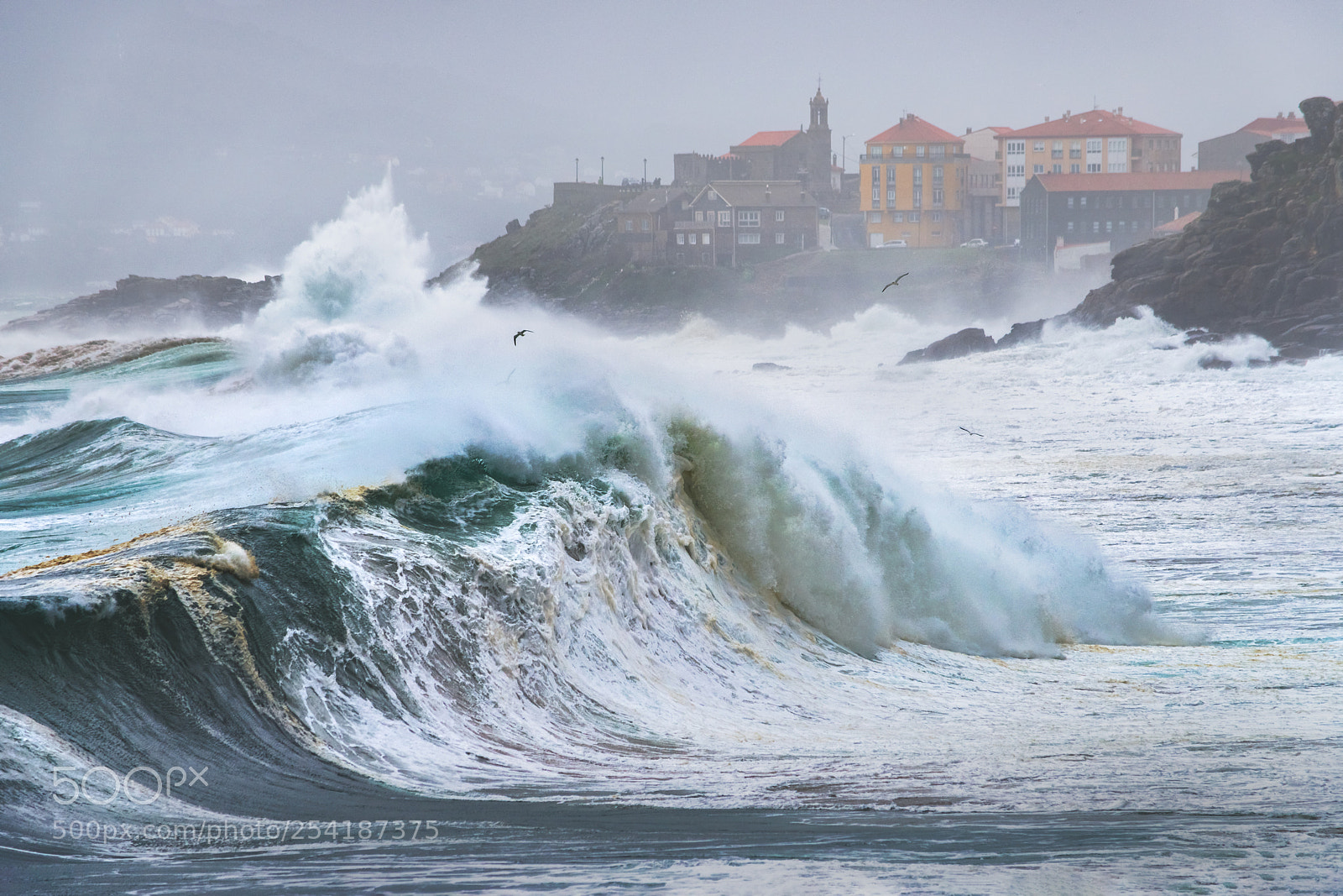 Nikon D800 sample photo. Porto do son, do photography