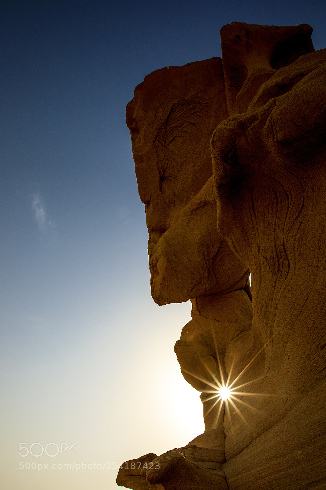 Canon EOS 5D Mark IV sample photo. Nature's handiwork photography