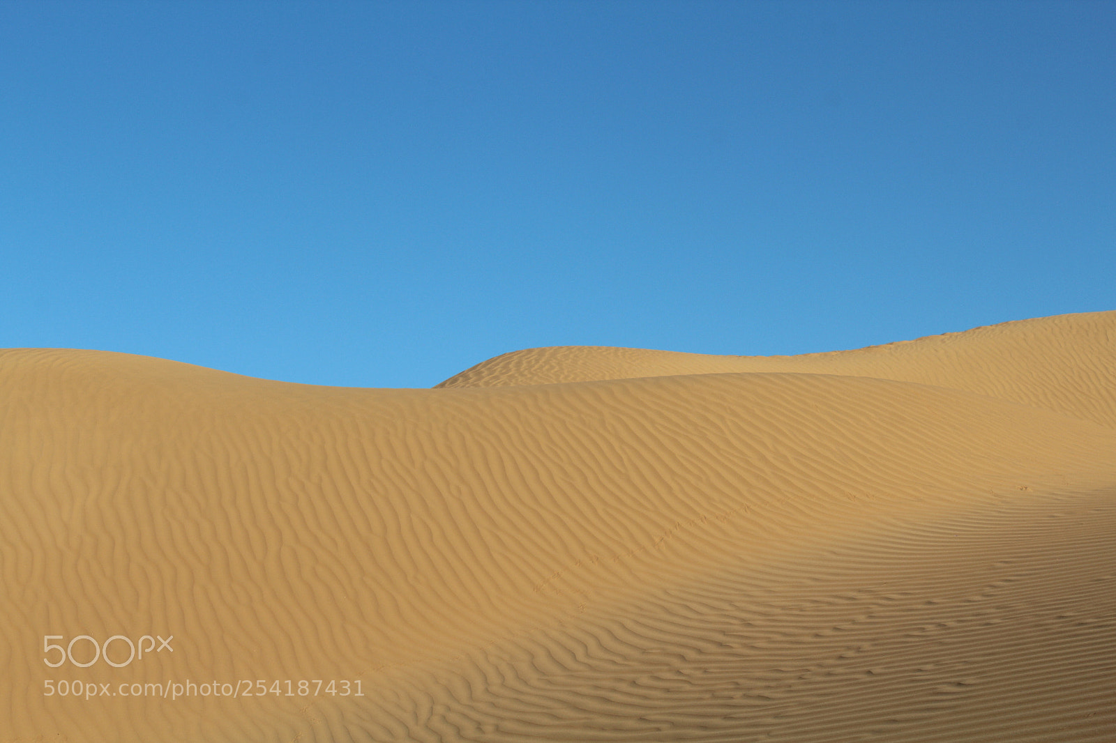 Canon EOS 1300D (EOS Rebel T6 / EOS Kiss X80) sample photo. Golden desert of sand photography