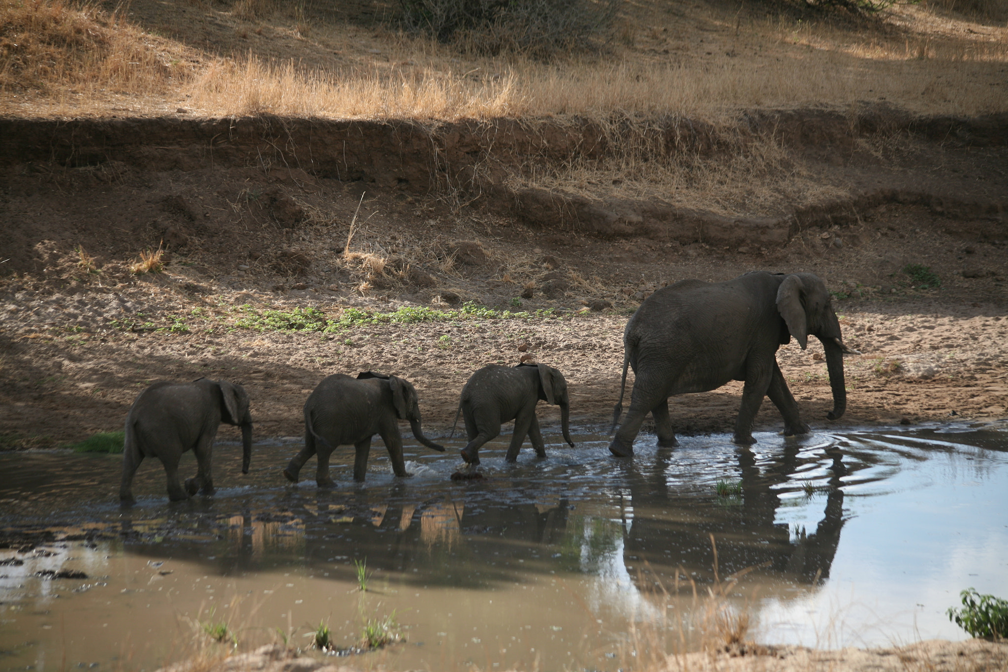 Canon EOS 5D sample photo. Tanzania photography