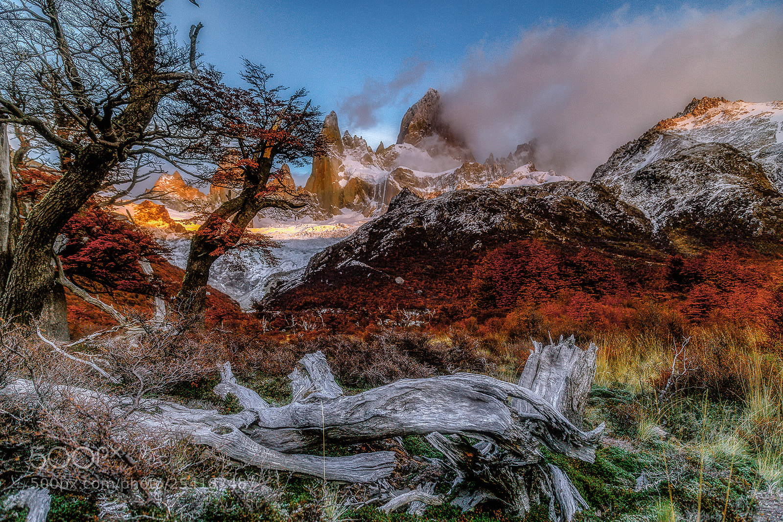 Canon EOS 5D Mark IV sample photo. A day in patagonia. photography