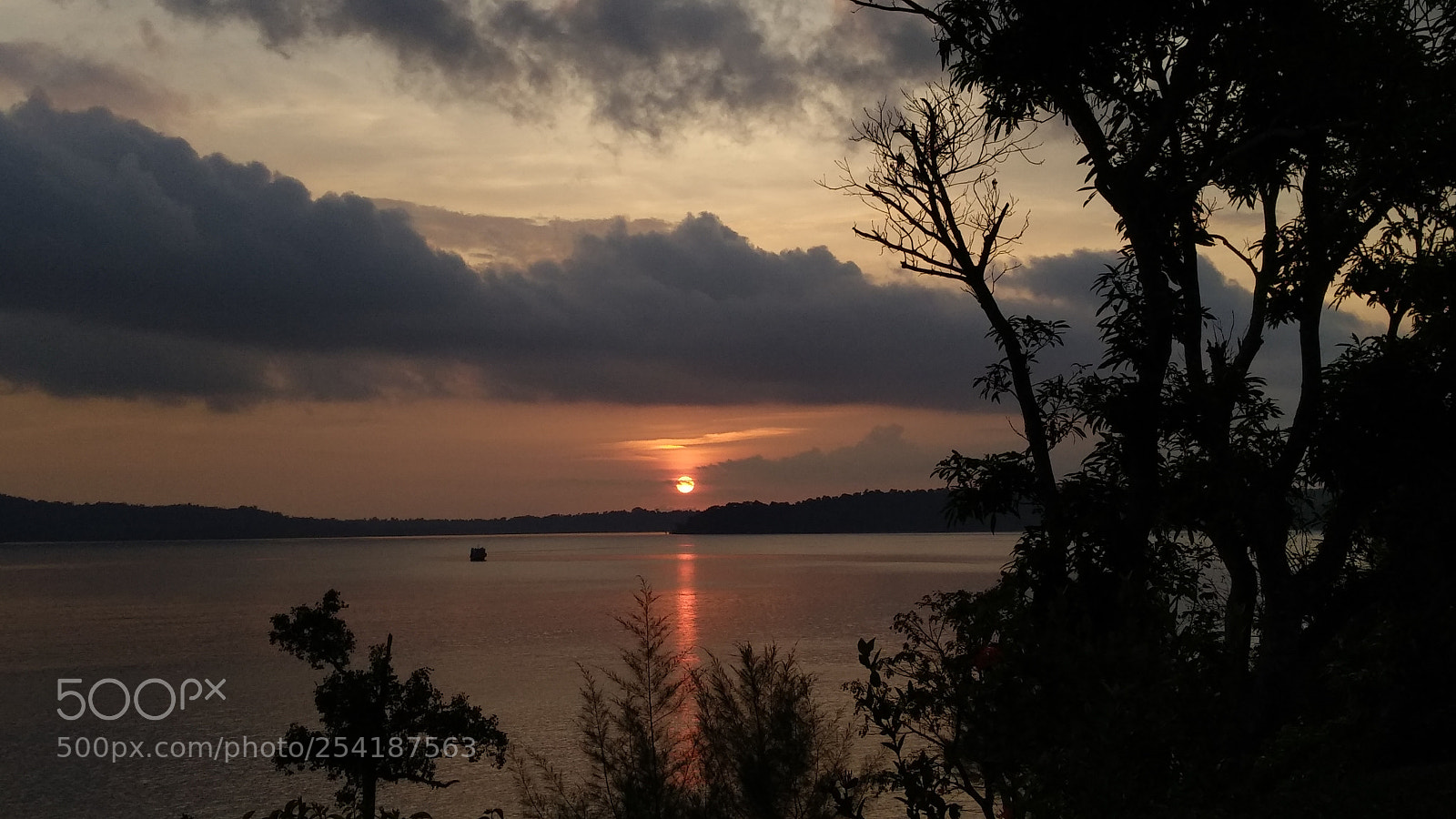 Xiaomi MI MAX 2 sample photo. Untitled photography