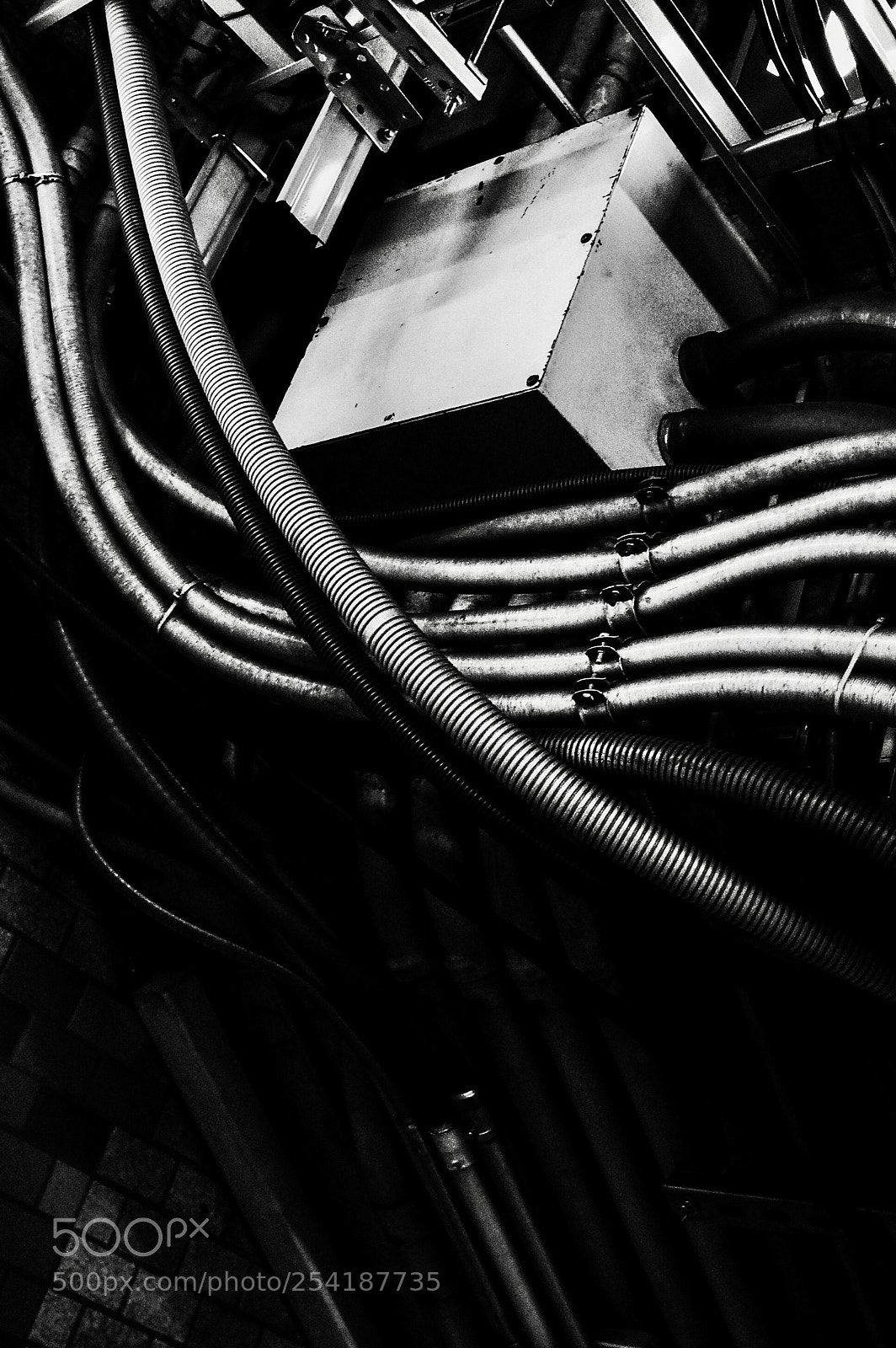 Ricoh GR II sample photo. Untitled photography