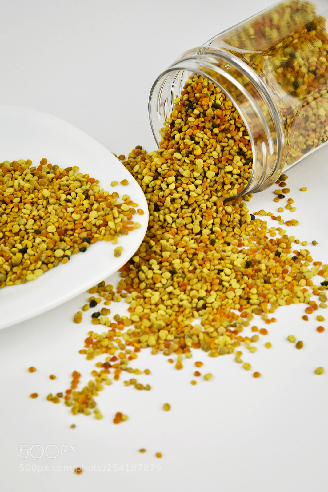 Nikon D5500 sample photo. Spilled pollen from the photography