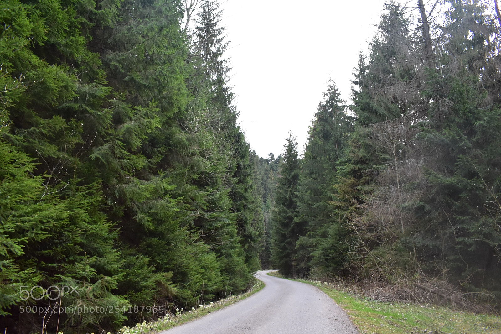 Nikon D3400 sample photo. Zákopecké cesta photography
