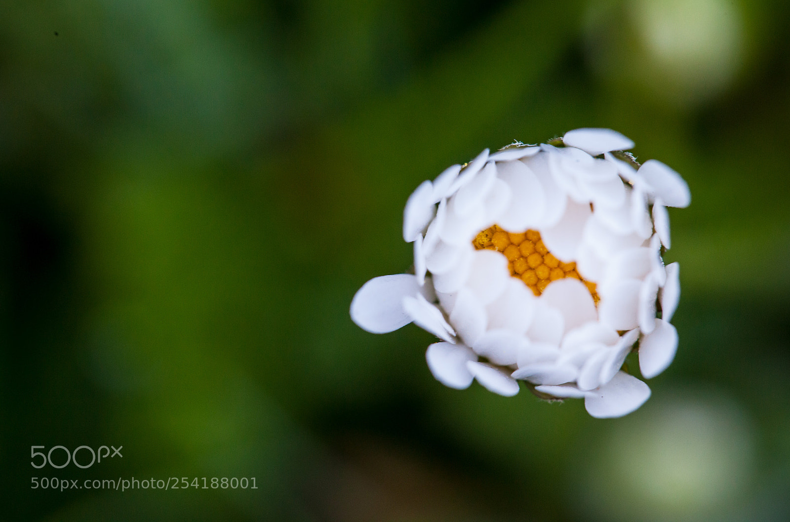 Canon EOS 5D Mark II sample photo. Hey, wake-up time! photography