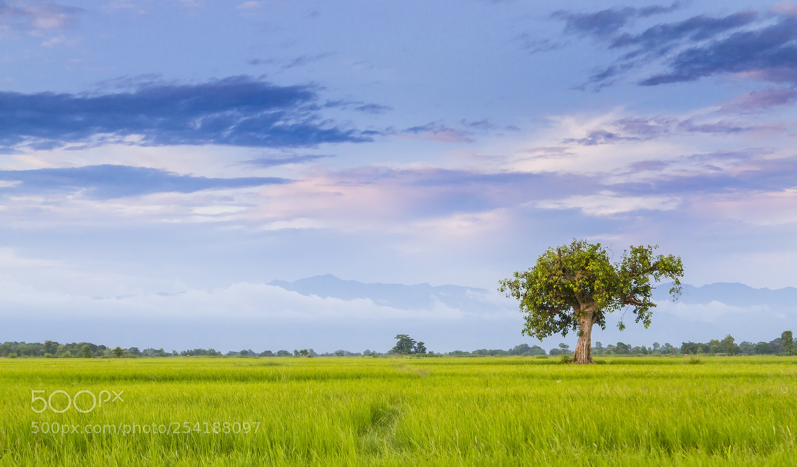 Canon EOS 7D sample photo. Untitled photography