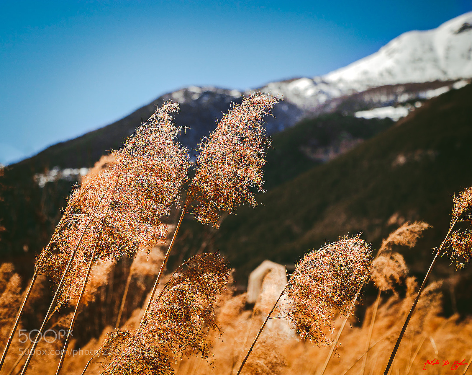 Canon EOS 77D (EOS 9000D / EOS 770D) sample photo. Winter is coming photography