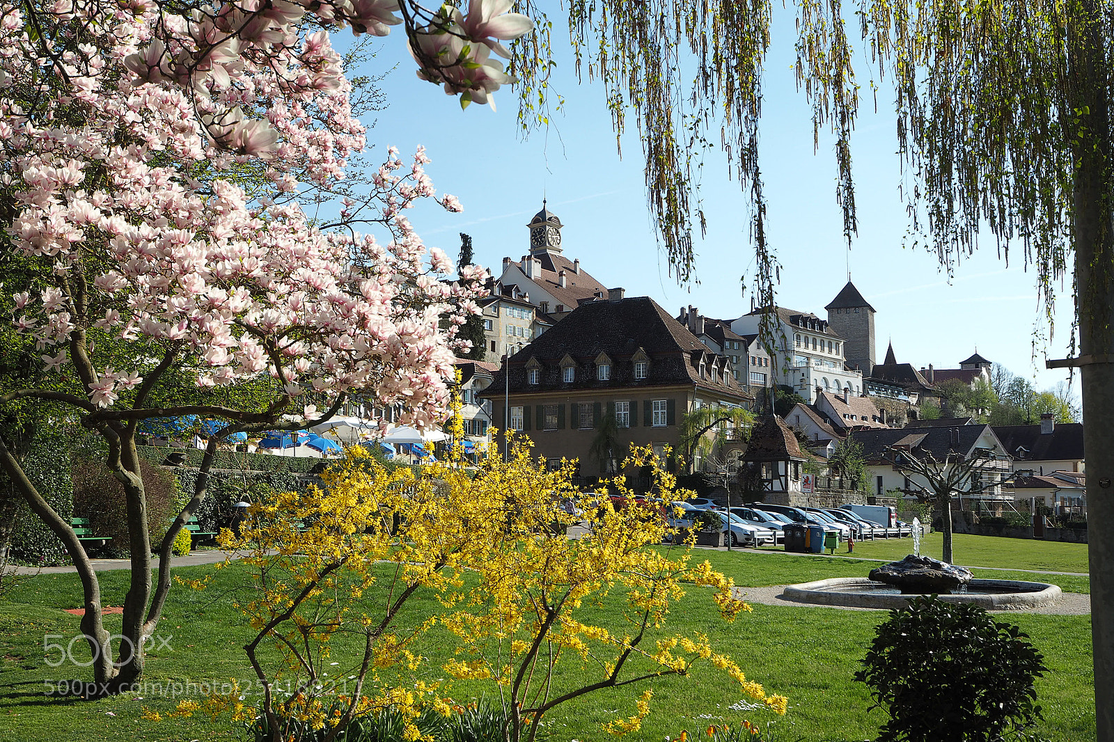 Olympus OM-D E-M10 sample photo. Spring in murten photography