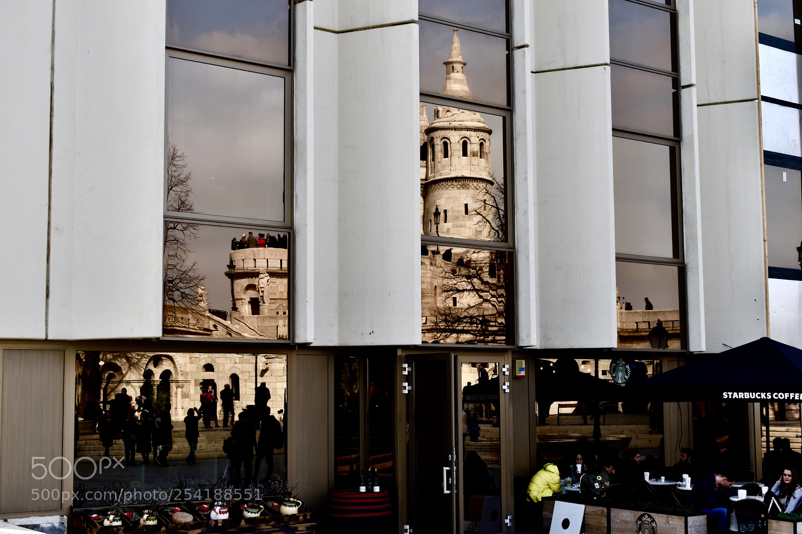 Nikon D5600 sample photo. Reflection. photography