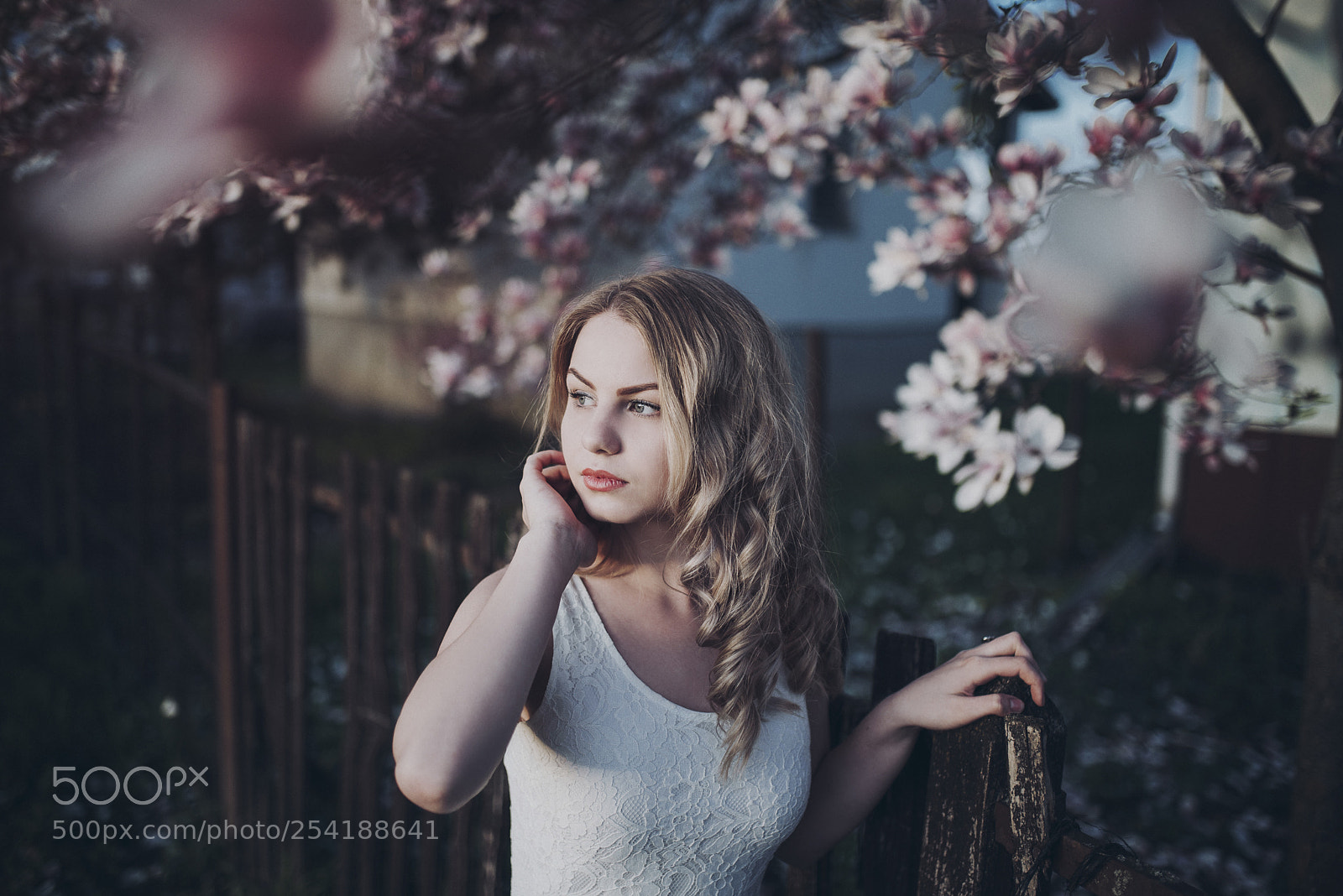Nikon D610 sample photo. Sári photography