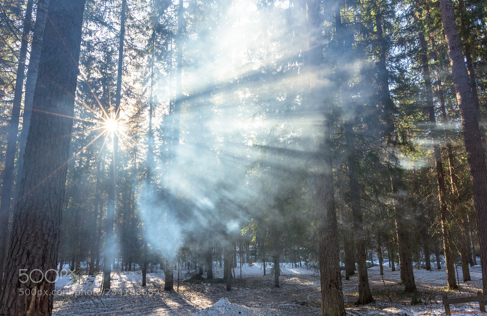 Nikon D810 sample photo. Smoky rays photography