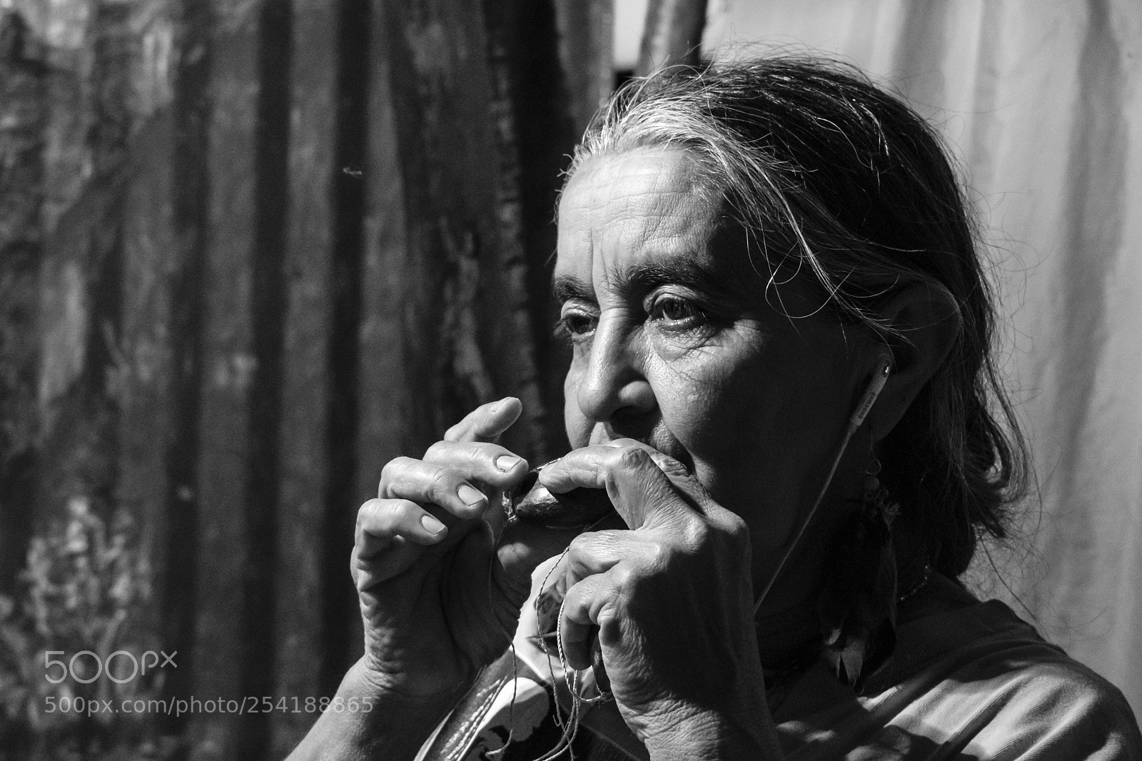 Nikon D5500 sample photo. Untitled photography