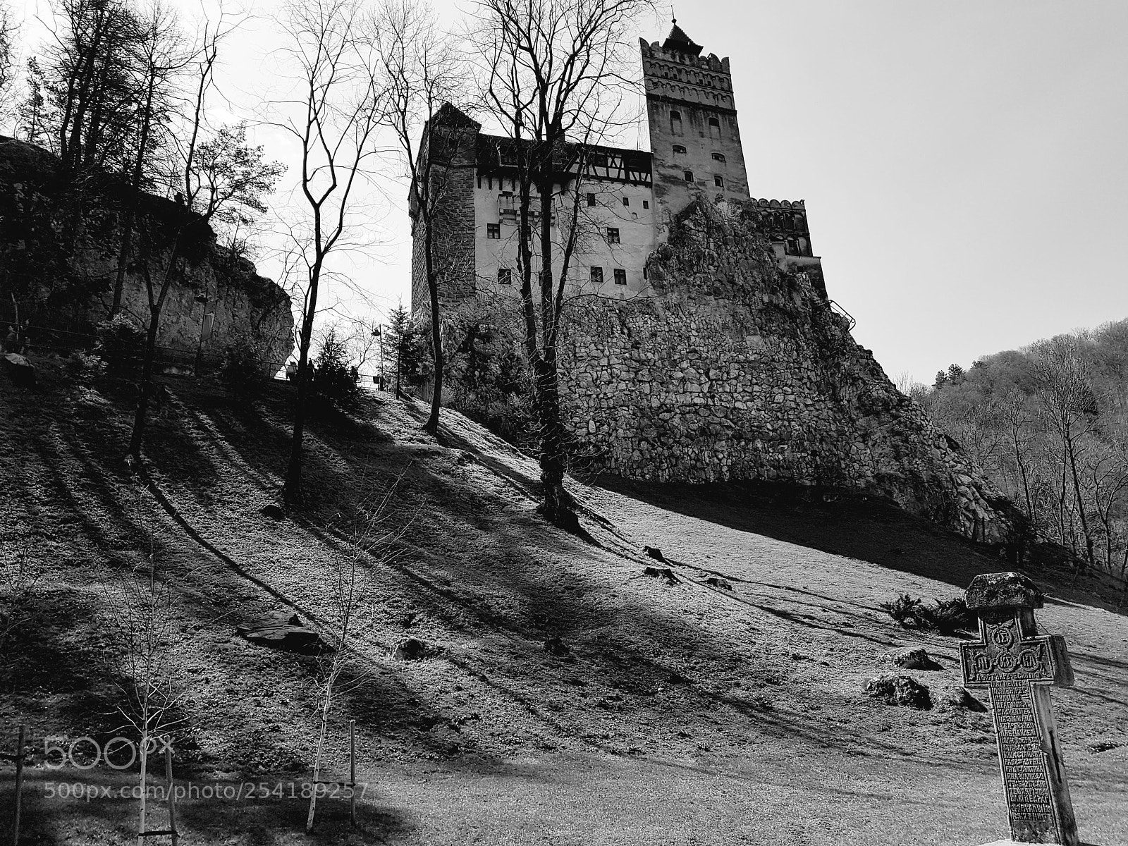 Samsung Galaxy S8+ sample photo. Bran... photography