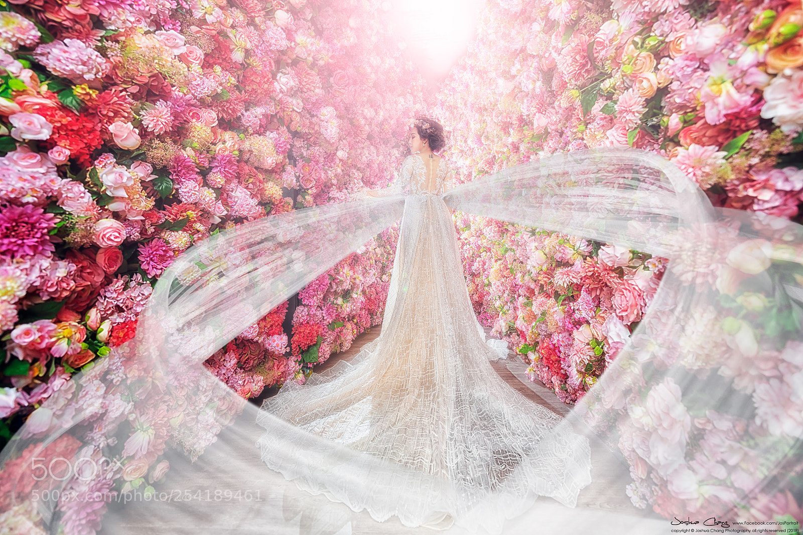 Nikon D850 sample photo. Pre wedding - laurin photography