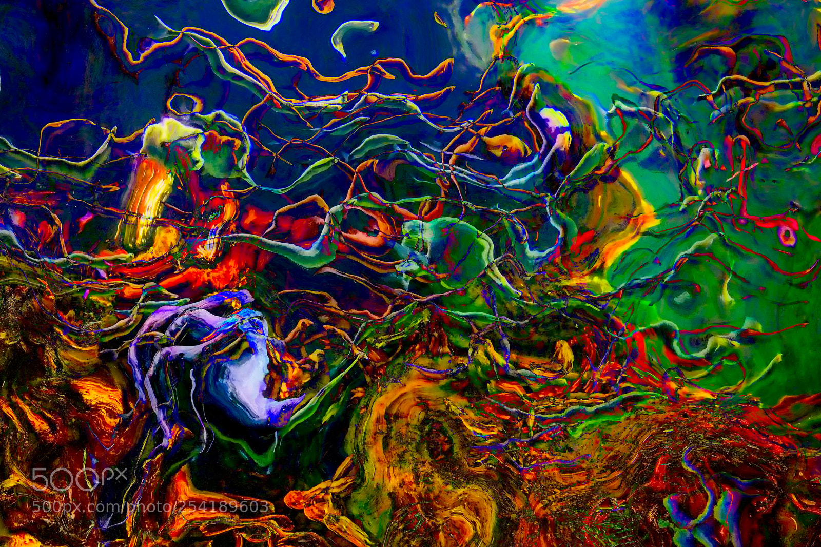 Nikon D850 sample photo. Underwater abstract photography