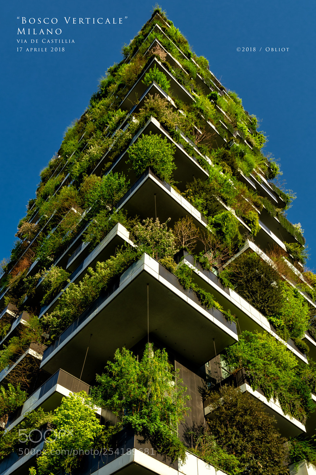 Sony a7R III sample photo. Bosco verticale, milano photography