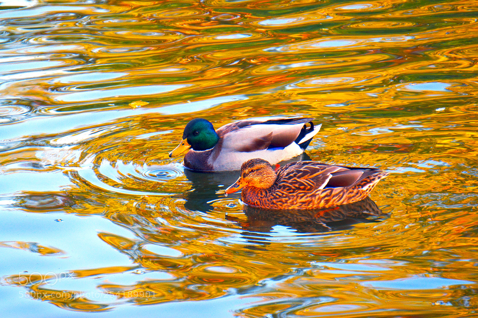 Sony Alpha a5000 (ILCE 5000) sample photo. (hdr) photography