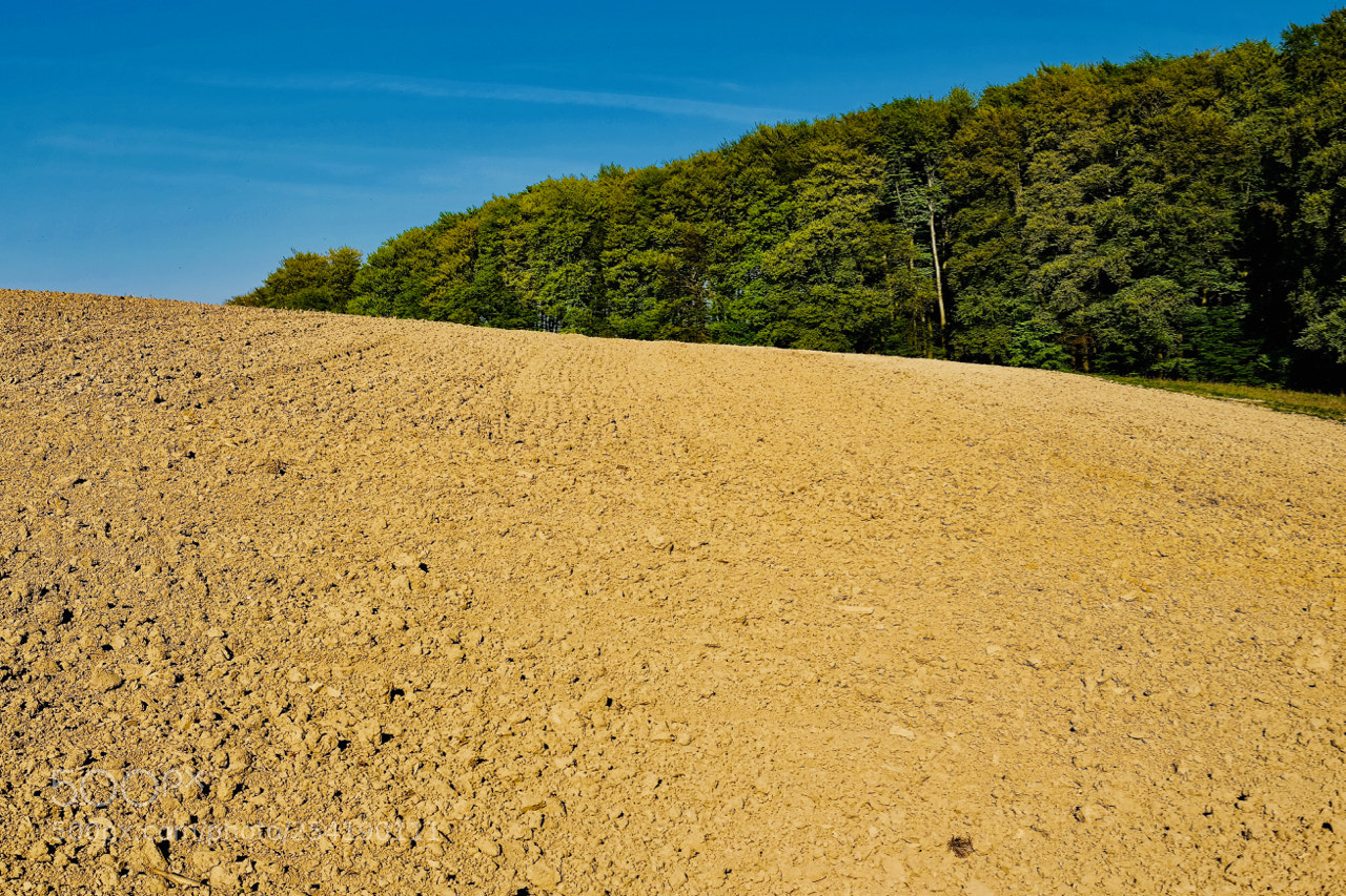 Fujifilm X-E3 sample photo. Erde wald himmel photography
