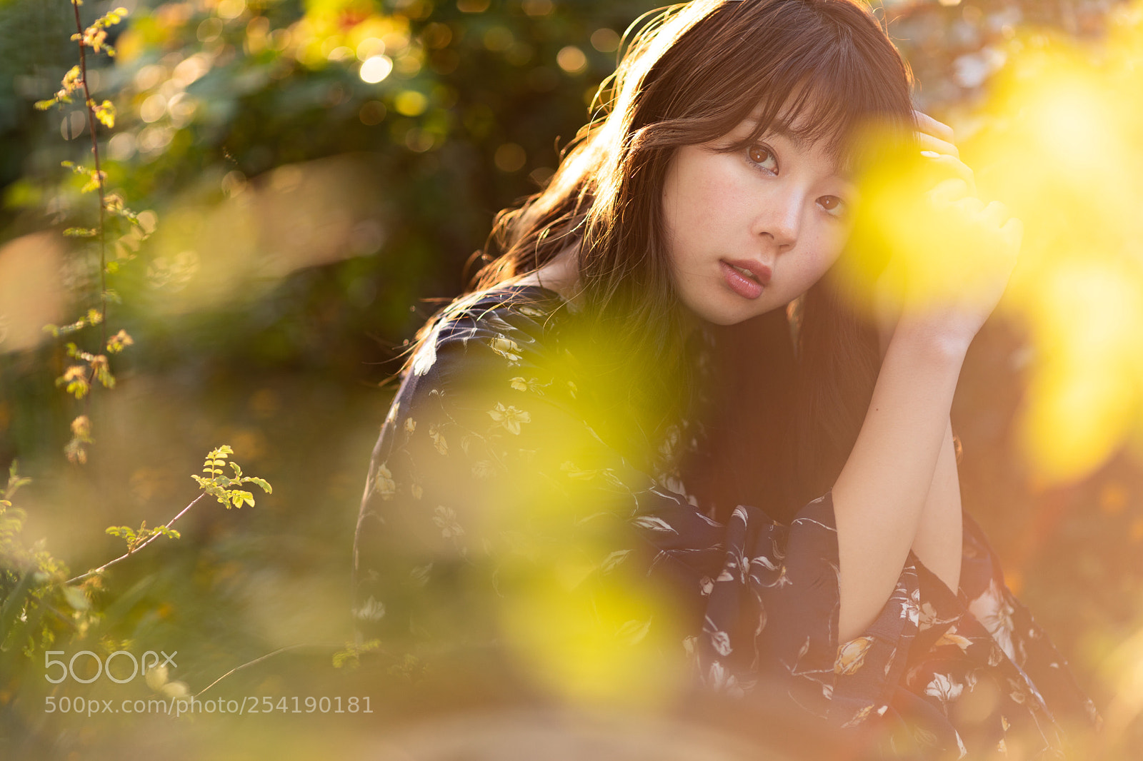 Canon EOS 5D Mark IV sample photo. Untitled photography