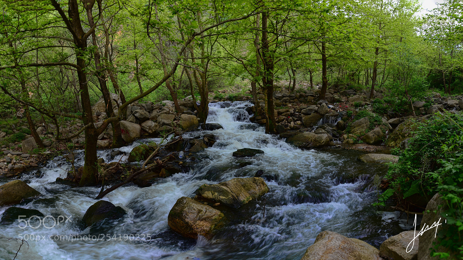Nikon D7000 sample photo. Ba l ks z photography