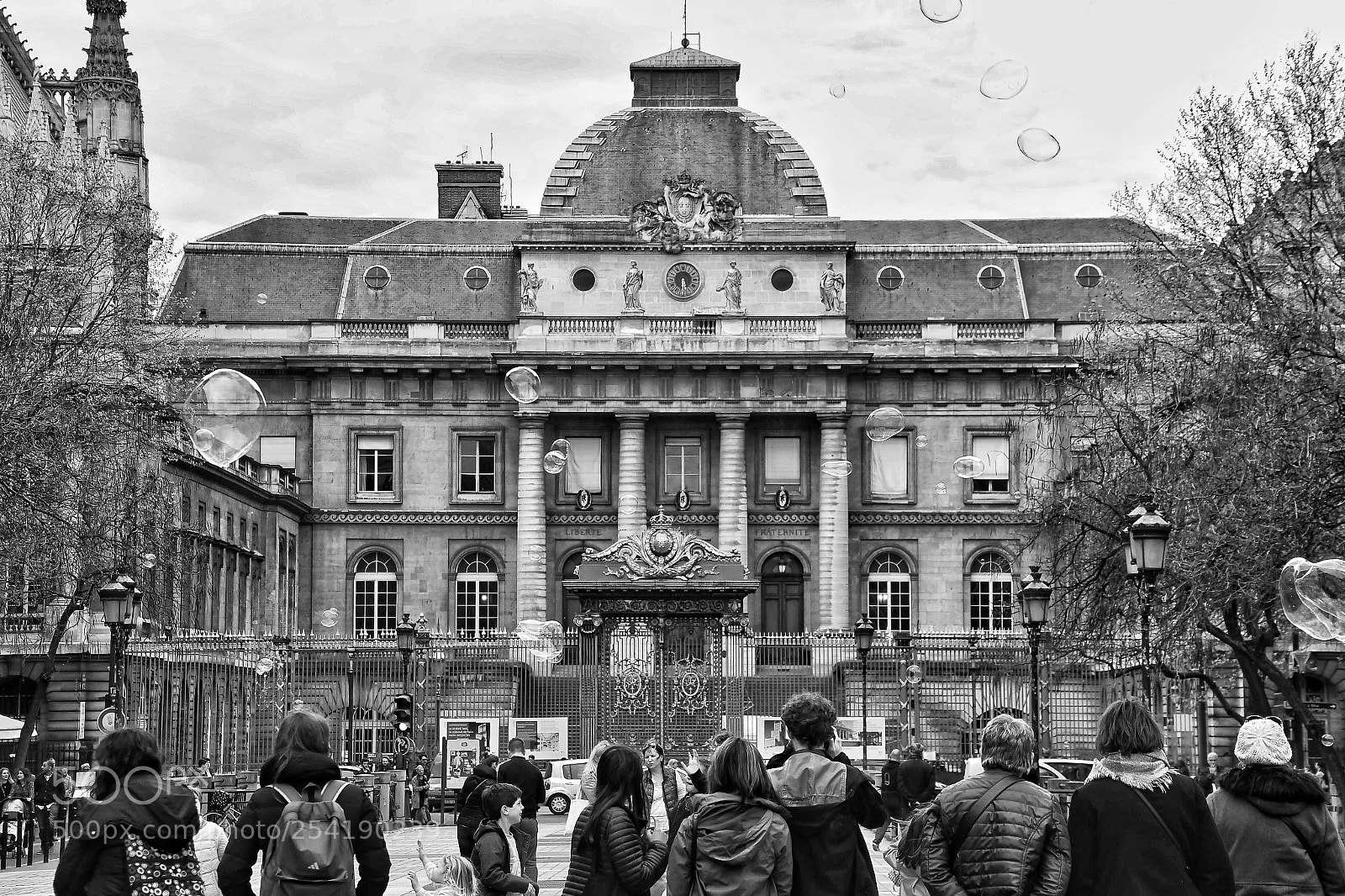 Nikon D500 sample photo. Watching bubbles - paris photography