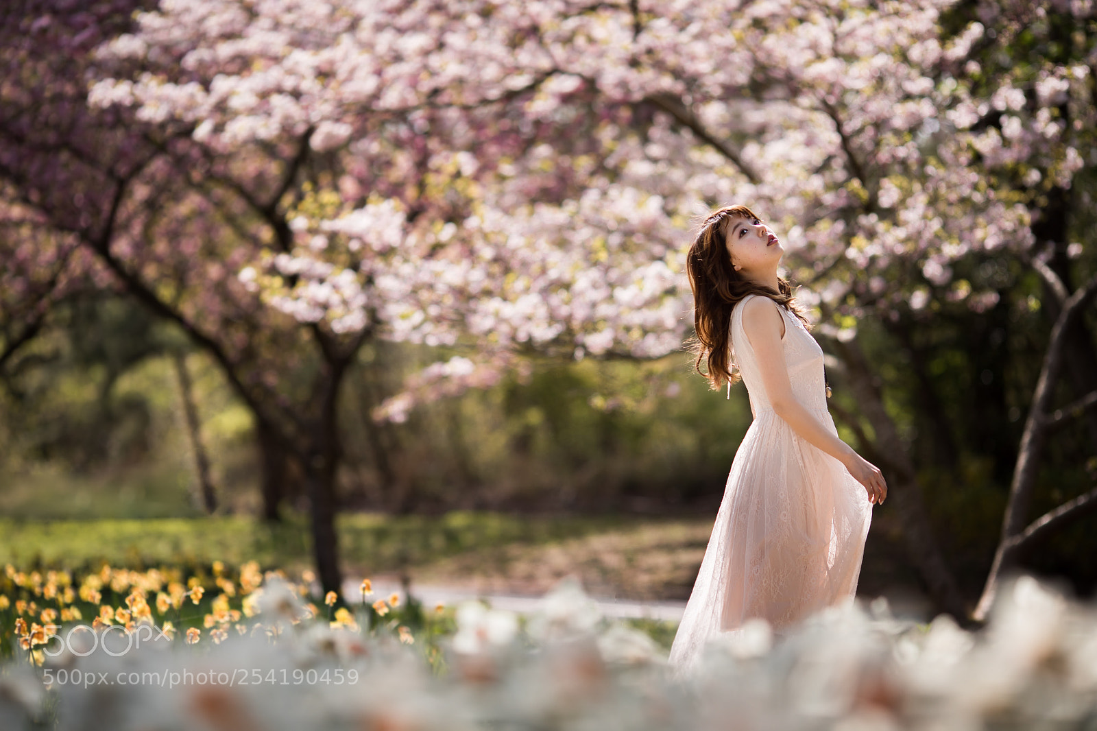 Canon EOS 5D Mark IV sample photo. Untitled photography