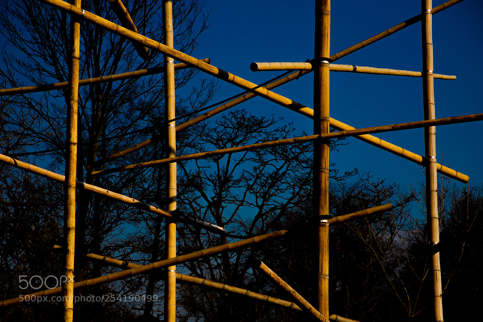 Canon EOS 6D Mark II sample photo. Puzzle photography