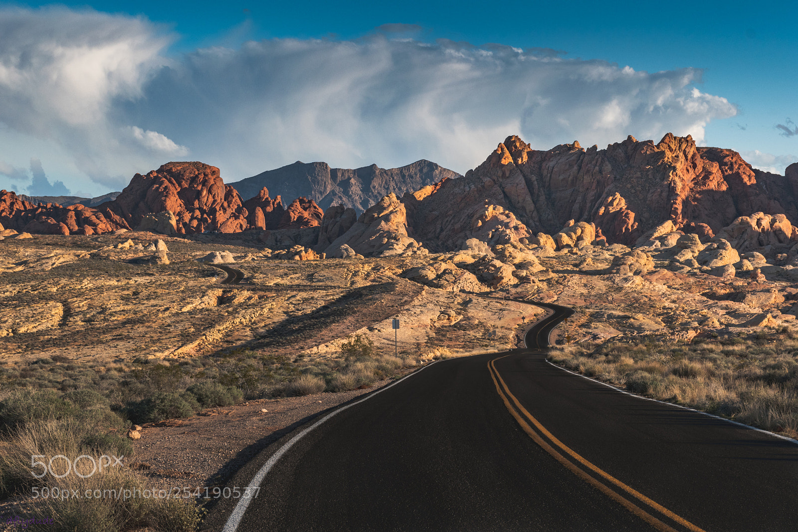 Nikon D5600 sample photo. Road to adventure 3654 photography