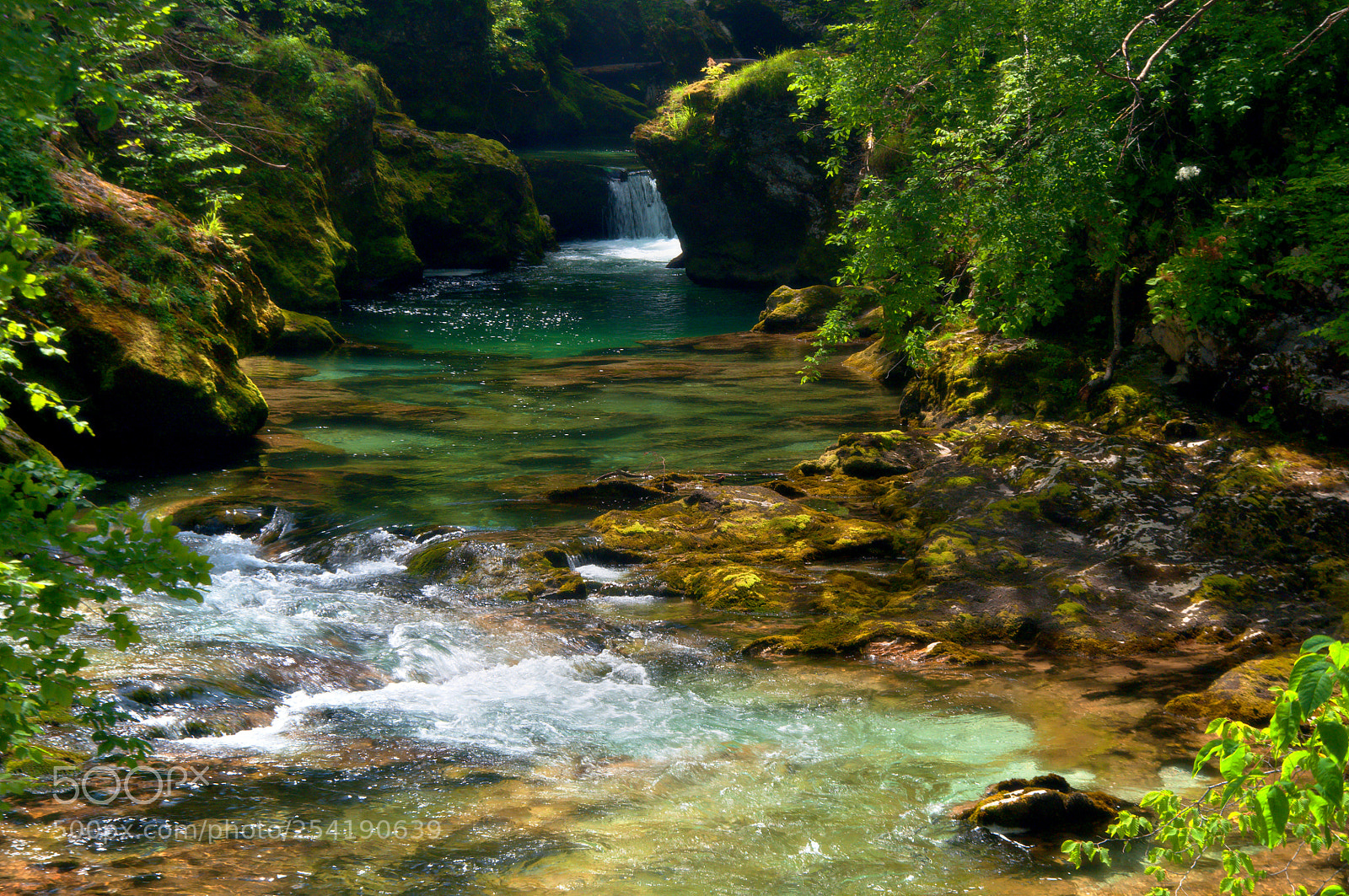 Nikon D5000 sample photo. ()final photography