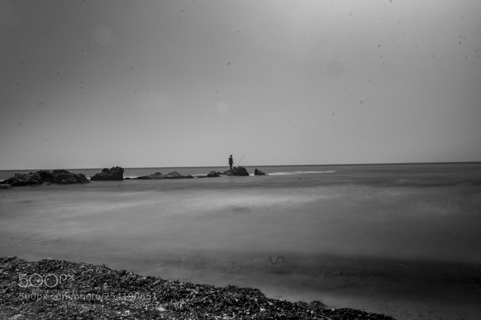 Canon EOS 60D sample photo. Untitled photography