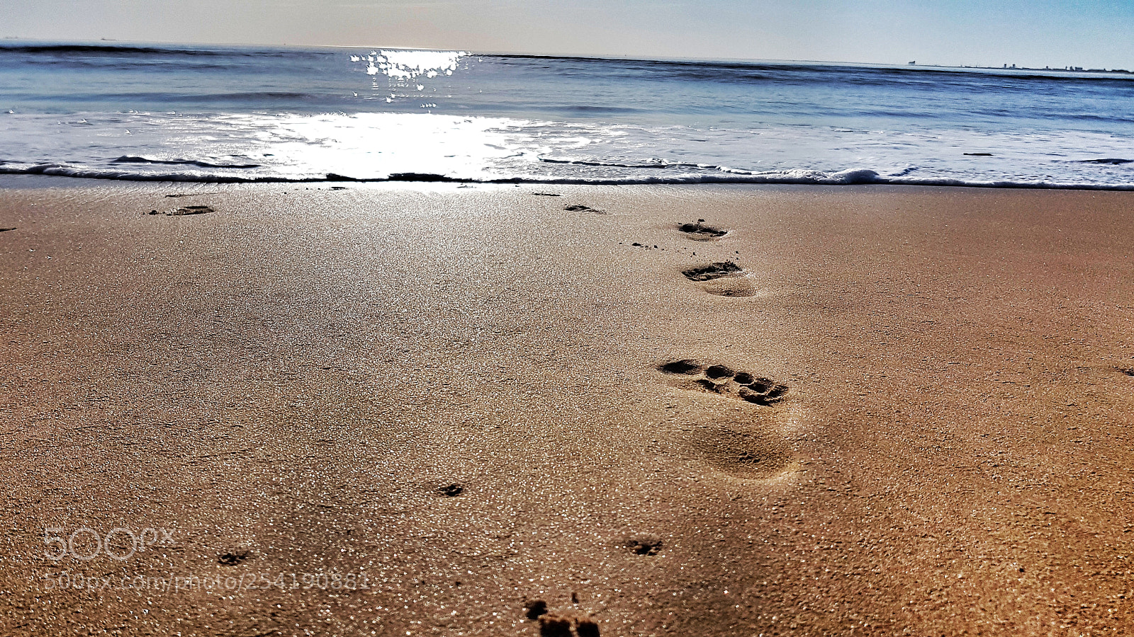 Samsung Galaxy S7 sample photo. At the beach photography
