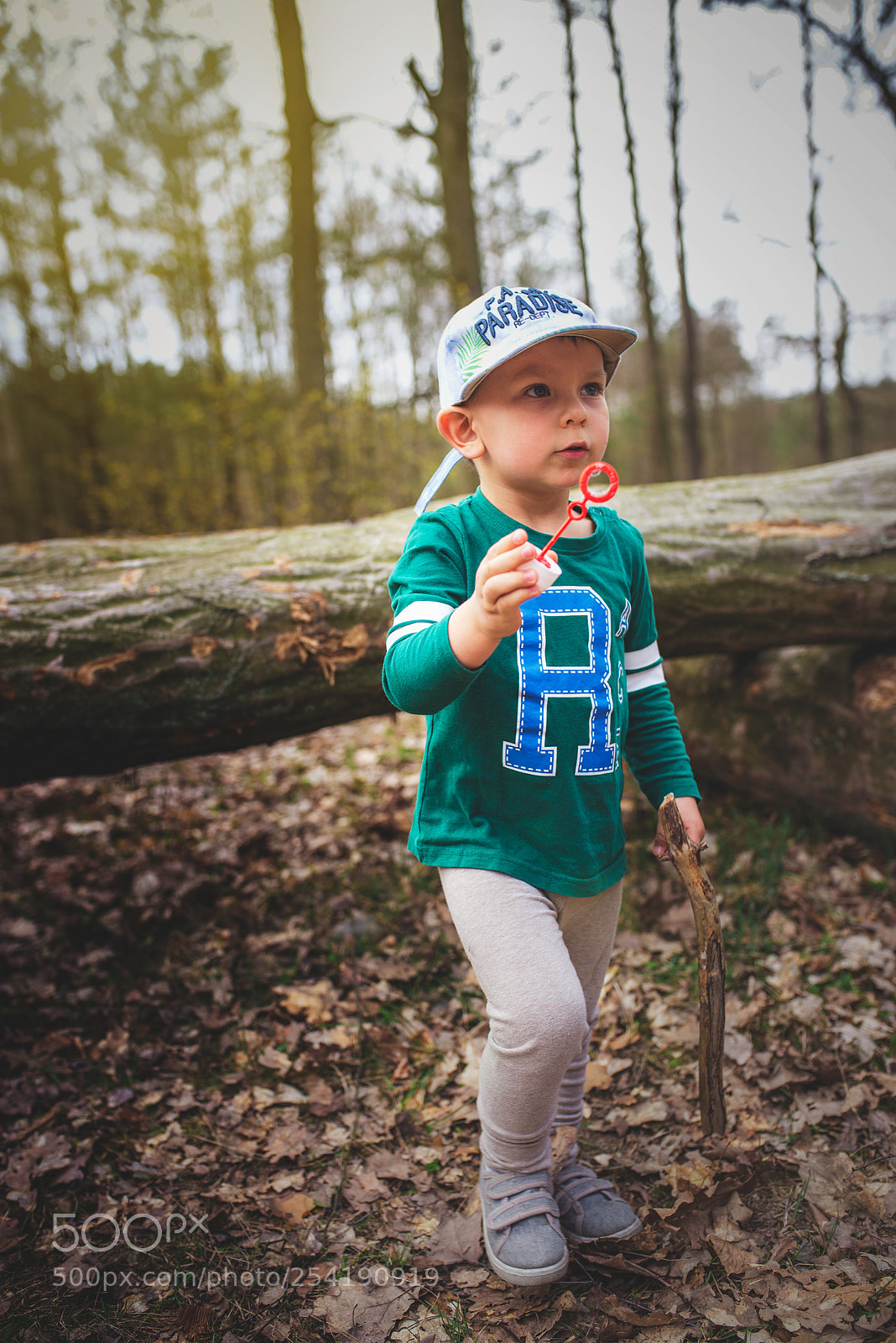 Nikon D600 sample photo. Untitled photography