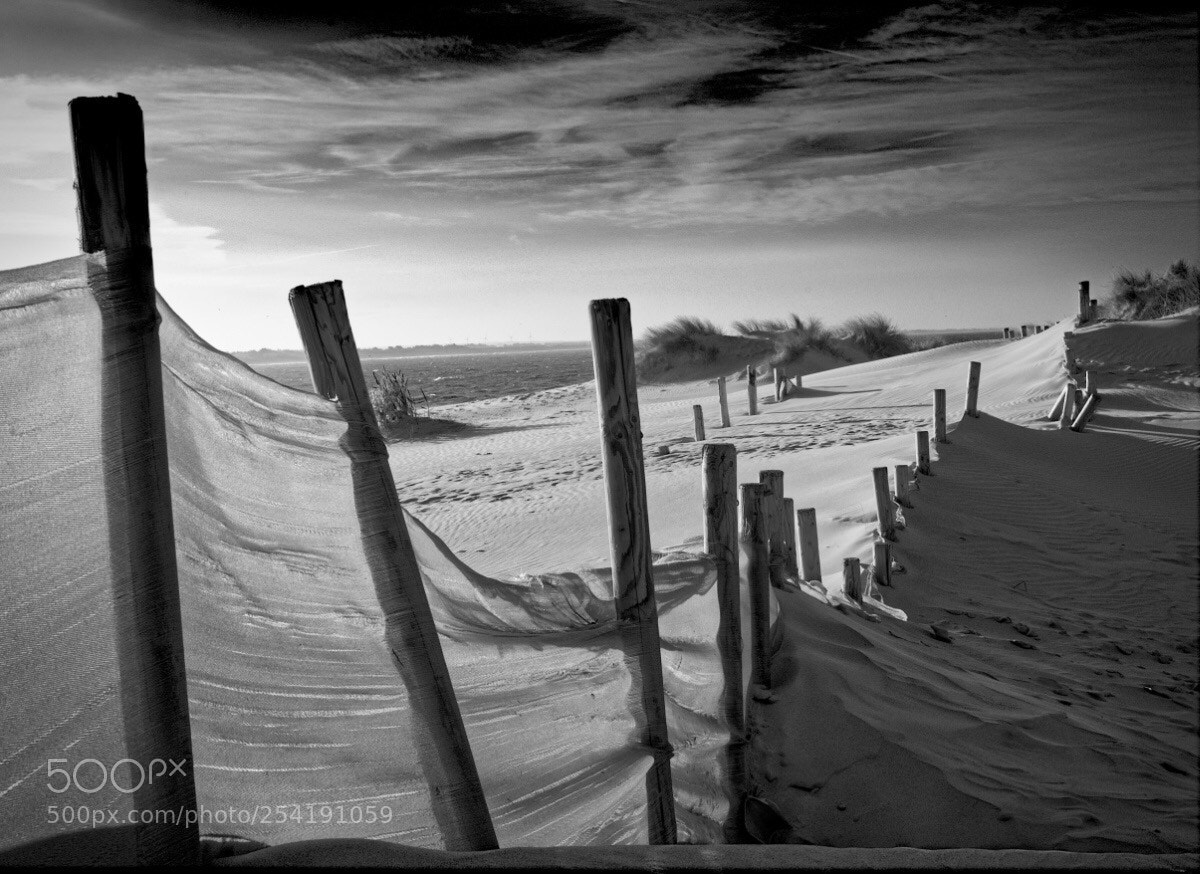 Nikon D610 sample photo. Dune 2 photography