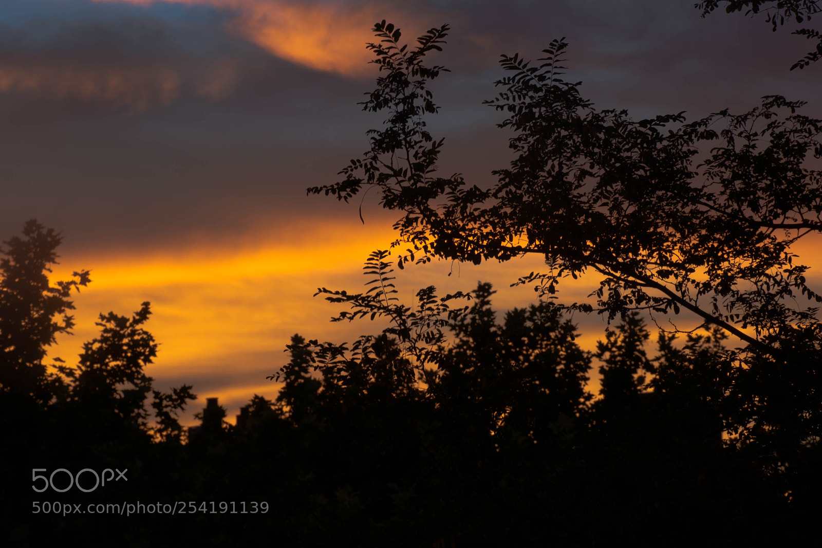Nikon D7100 sample photo. Atardecer photography