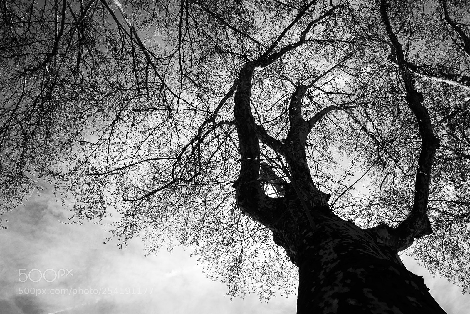 Panasonic Lumix DMC-LX100 sample photo. The wrath... photography