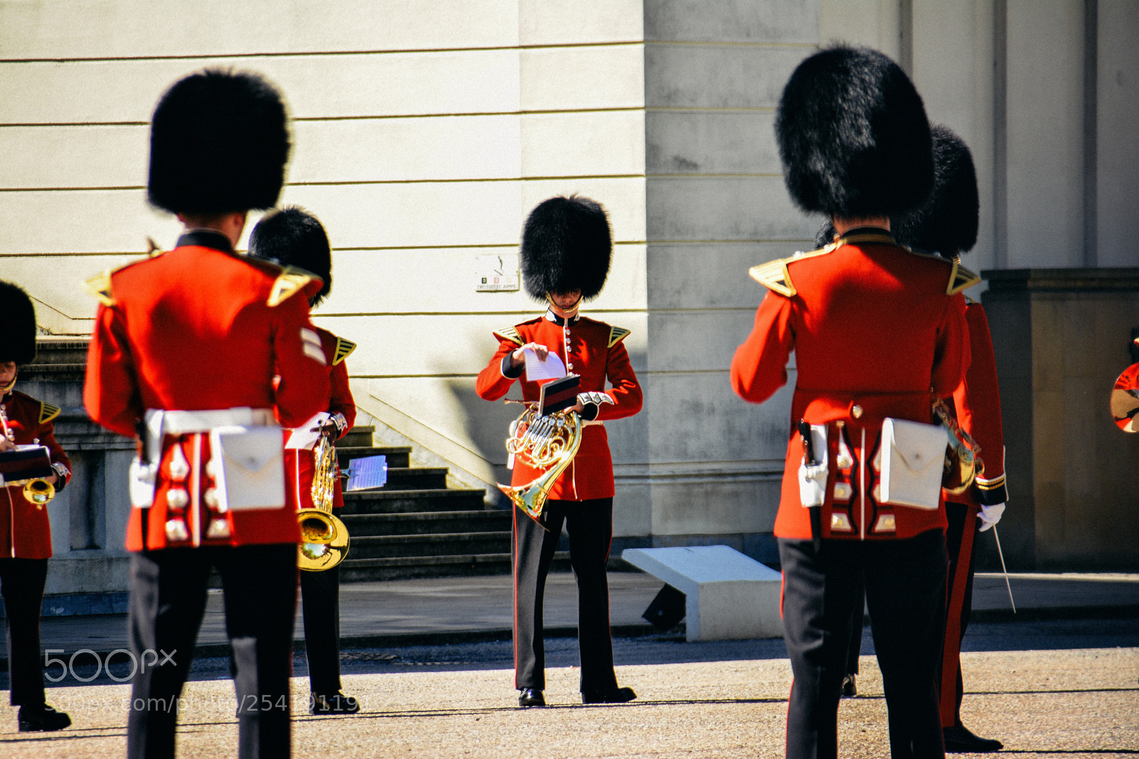 Nikon D7100 sample photo. Guards photography